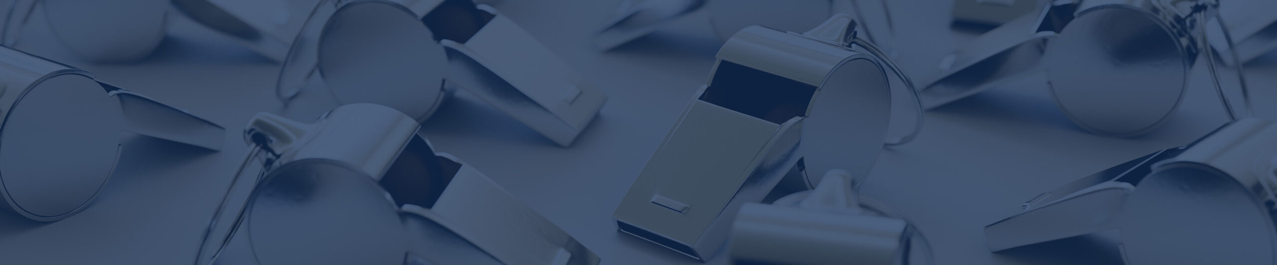 False Claims Act Whistleblowers Group Cohen Seglias